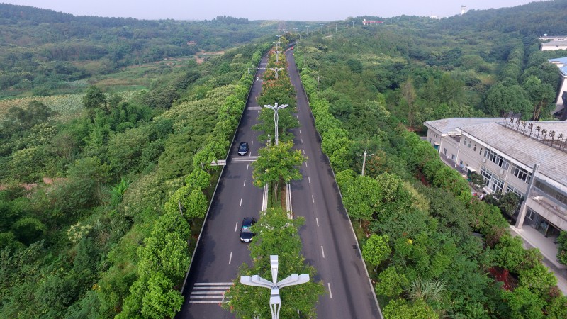 綿陽機(jī)場(chǎng)路改造提升（黑化）工程