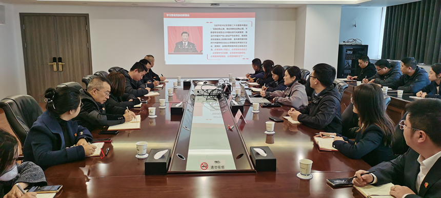 集團(tuán)黨委委員、副總經(jīng)理賀維維同志講授專(zhuān)題黨課